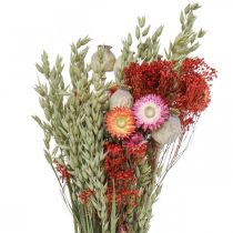 Ramo de flores secas Ramo de flores de pradera Rojo H50cm 150g