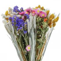 Ramo de flores secas lavanda de mar Phalaris grano 55cm