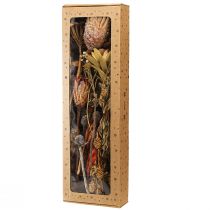 Artículo Conos de protea exótica seca Bellgum 24–48 cm 580 g - Decoración de flores artificiales Sudáfrica