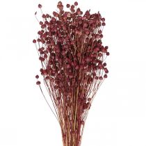 Artículo Hierba Seca Lino Seco Rosa Viejo Al.50–55cm 80g