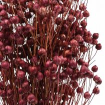 Artículo Hierba Seca Lino Seco Rosa Viejo Al.50–55cm 80g