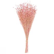 Artículo Hierba de lino seca decorativa rosa claro 50-55 cm 80 g Decoración de mesa