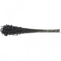 Artículo Hierba decorativa de lino seca, negra, 50-55 cm, 80 g