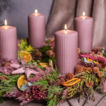 Artículo Hierba seca juncia hierba decorativa seca rosa viejo 75cm 10 piezas