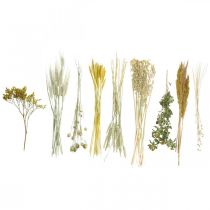 Artículo Kit de flores secas amarillas para crear ramas creativos y coronas decorativas (60 cm) – Producto natural