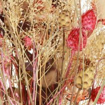 Artículo Ramo seco de centaurea cardo fresa rojo blanqueado 150g