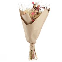 Artículo Ramo de flores secas estilo boho Cardo fresa y aciano en rojo blanqueado, realista 150g