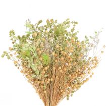 Artículo Ramo seco de cardos avena lino menta blanco natural 40cm 80g