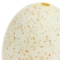 Artículo Huevos de pavo naturales para decoración de Pascua, huevos de ave reales de 6,5 cm, 10 unidades.