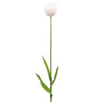 Tulipán blanco-rosa 86cm 3uds