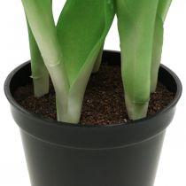 Artículo Tulipán rosa, verde en maceta Planta artificial en maceta tulipán decorativo H23cm