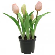 Artículo Tulipán rosa, verde en maceta Planta artificial en maceta tulipán decorativo H23cm