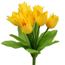 Tulip Bush amarillo H30cm