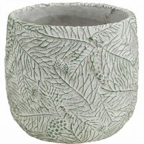 Artículo Jardinera cerámica verde blanco gris ramas abeto Ø12.5cm H12cm