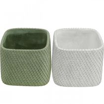 Artículo Jardinera cerámica blanco verde malla relieve 12,5x12,5cm H9cm 2uds