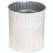 Artículo Maceta Diente de León Blanca Ø9,5cm H11cm