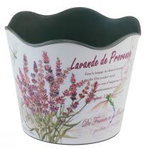 Artículo Macetero macetero de plástico lavanda de verano Ø16,5cm H13,5cm