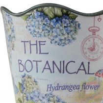Artículo Maceta de plástico para hortensias Ø13,5cm H12cm