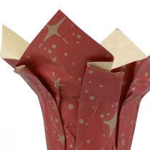 Artículo Macetero estrellas de papel rojo/antracita/natural Ø12cm H12cm 9 piezas