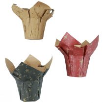 Macetero estrellas de papel rojo/antracita/natural Ø4,5cm H6cm 9 piezas