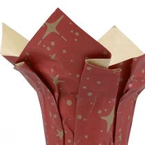 Macetero estrellas de papel rojo/antracita/natural Ø4,5cm H6cm 9 piezas