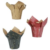 Macetero estrellas de papel rojo/antracita/natural Ø9,5cm H10cm 9 piezas