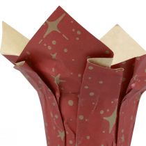 Macetero estrellas de papel rojo/antracita/natural Ø9,5cm H10cm 9 piezas