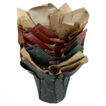 Artículo Macetero estrellas de papel rojo/antracita/natural Ø9,5cm H10cm 9ud