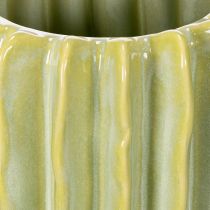 Artículo Maceta de cactus, recipiente ideal para acentos exóticos en el hogar, 16 cm