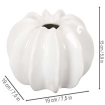 Artículo Jarrón decorativo con forma de calabaza, brillante, decoración otoñal para salón, 19 cm.