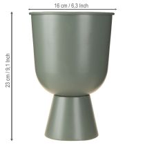 Artículo Trofeo de metal para decoración del hogar, diseño de interiores elegante y moderno, 23 cm