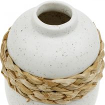 Artículo Florero de cerámica blanca y jarrón de algas marinas decoración de verano H17.5cm