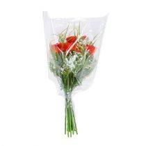 Artículo Embudo de embalaje L55cm L50cm - 15cm 50 piezas