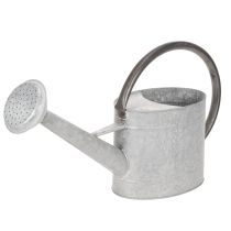 Artículo Regadera metálica vintage, gris plateada, elegante decoración de jardín, jarrón para flores, 53 cm de largo x 29 cm de alto.