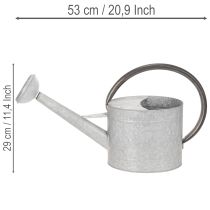 Artículo Regadera metálica vintage, gris plateada, elegante decoración de jardín, jarrón para flores, 53 cm de largo x 29 cm de alto.
