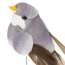 Artículo Pájaros decorativos, decoración artificial para el hogar, ocasión primaveral, con plumaje colorido hecho de plumas reales, 5 cm, 18 piezas