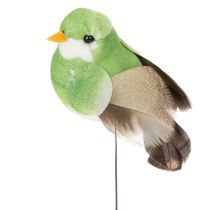 Artículo Pájaros decorativos, decoración artificial para el hogar, ocasión primaveral, con plumaje colorido hecho de plumas reales, 5 cm, 18 piezas