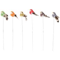 Artículo Pájaros decorativos, decoración artificial para el hogar, ocasión primaveral, con plumaje colorido hecho de plumas reales, 5 cm, 18 piezas