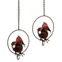 Artículo Pájaro en anillo como colgador de comida Ø12,5cm L45cm 2ud