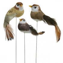 Decoración primavera, mini pájaros, pájaros decorativos en alambre marrón, beige H2.5cm 24pcs