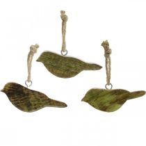 Artículo Pájaros para colgar, decoración de primavera, colgador de madera natural, verde H4cm 6pcs