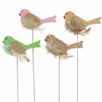 Enchufe decorativo pájaro madera verde, rosa, amarillo, naranja surtido 7cm x 4cm H24cm 16pcs