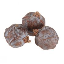 Artículo Conos de enebro Enebro sirio natural Ø1,5–2,5cm 1kg