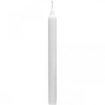 Artículo Velas de cera PURE velas de palo blanco 250/23mm cera natural 4uds