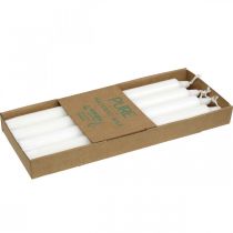 Artículo Velas de cera PURE velas de palo blanco 250/23mm cera natural 4 piezas