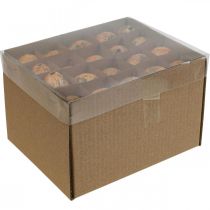 Artículo Huevos de codorniz decoracion huevos soplados naranja albaricoque 3cm 50uds