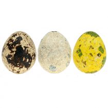 Surtido de huevos de codorniz amarillo natural 3cm 62uds