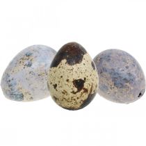 Mezcla de huevos de codorniz púrpura, violeta, naturaleza huevos vacíos como decoración 3cm 65p