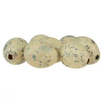 Artículo Huevos de codorniz decoración huevos de Pascua soplados crema 3cm 50uds