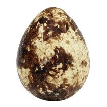 Artículo Huevos de codorniz como decoración, vacíos, naturales, 50 piezas